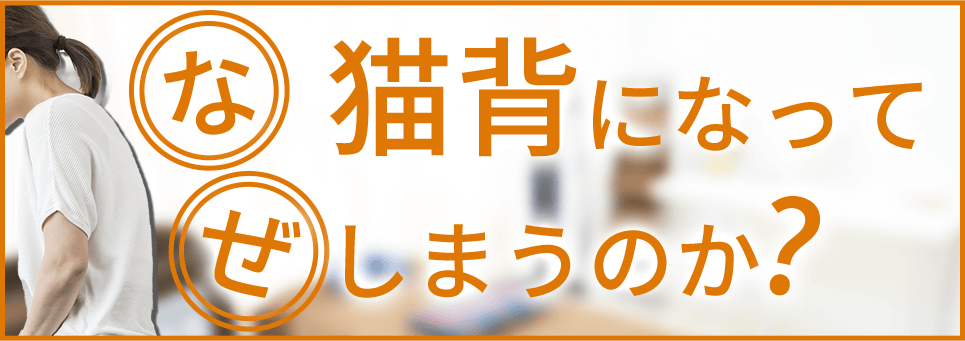 なぜ猫背になってしまうのか